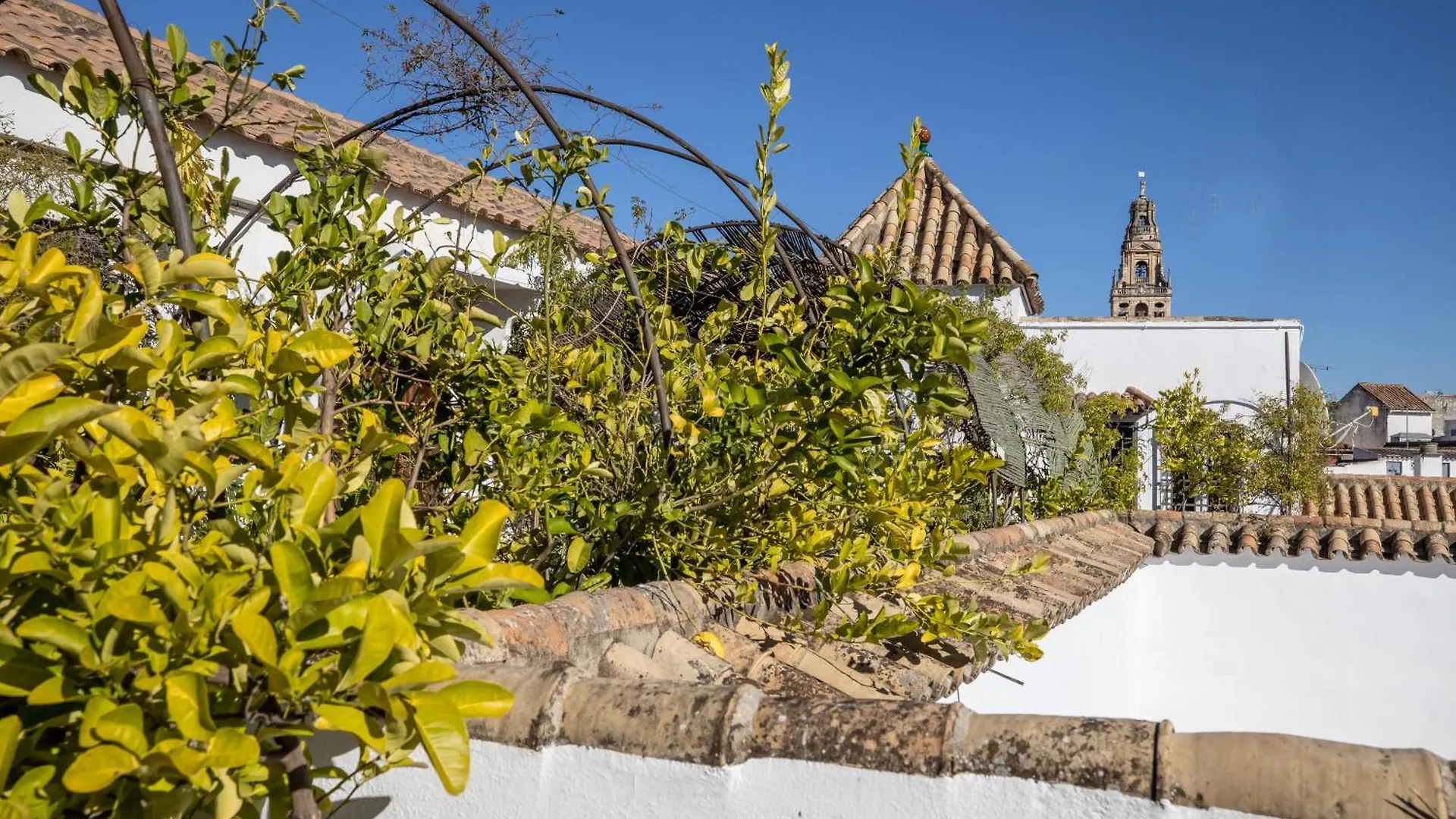 Apartamento Palacio Marqués Vega Armijo Córdoba España